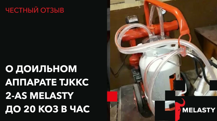 О доильном аппарате TJKKC 2-AS Melasty до 20 коз в час
